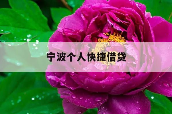 宁波个人快捷借贷_宁波个人小额贷款