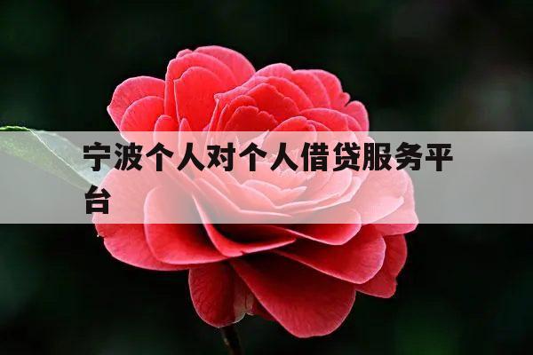 宁波个人对个人借贷服务平台_宁波个人私借在哪里借