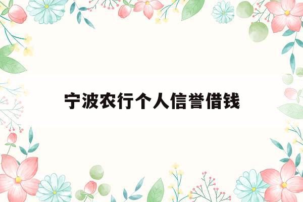 宁波农行个人信誉借钱_宁波农行个人信誉借钱怎么借