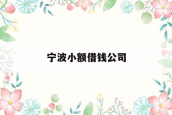 宁波小额借钱公司
