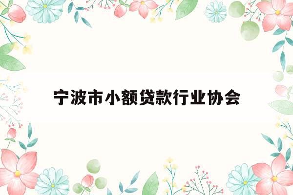 宁波市小额贷款行业协会