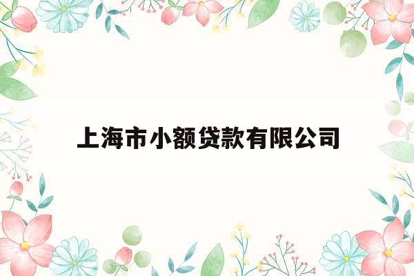 上海市小额贷款有限公司