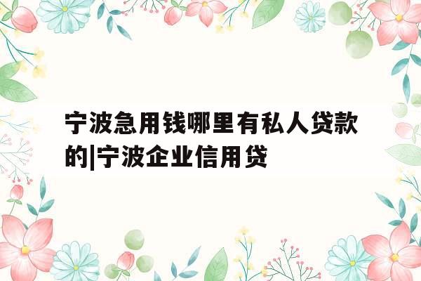 宁波急用钱哪里有私人贷款的|宁波企业信用贷