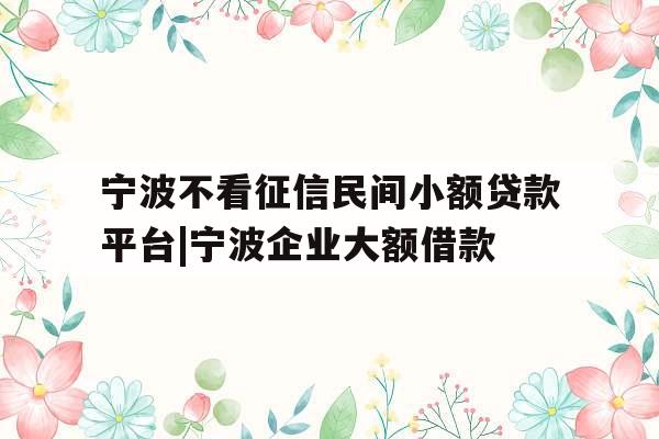 宁波不看征信民间小额贷款平台|宁波企业大额借款