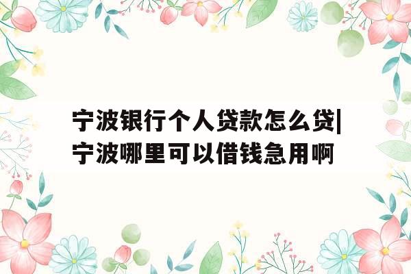 宁波银行个人贷款怎么贷|宁波哪里可以借钱急用啊