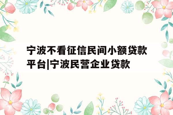 宁波不看征信民间小额贷款平台|宁波民营企业贷款