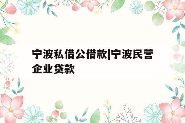 宁波私借公借款|宁波民营企业贷款