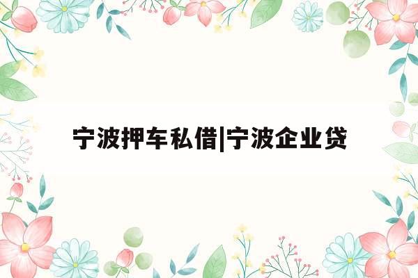 宁波押车私借|宁波企业贷