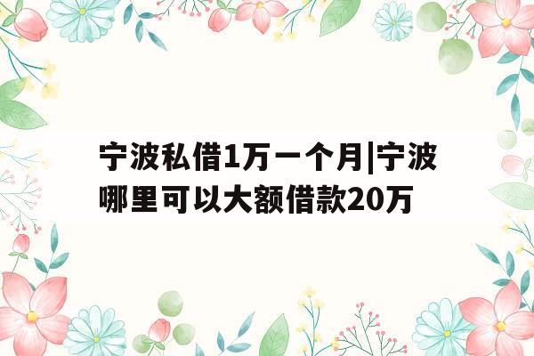宁波私借1万一个月|宁波哪里可以大额借款20万