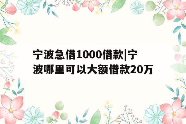 宁波急借1000借款|宁波哪里可以大额借款20万