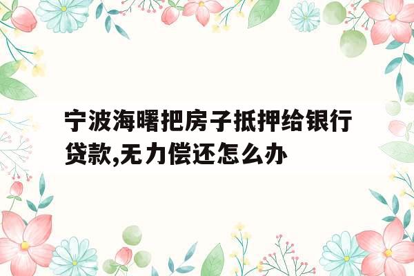 宁波海曙把房子抵押给银行贷款,无力偿还怎么办
