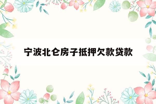 宁波北仑房子抵押欠款贷款